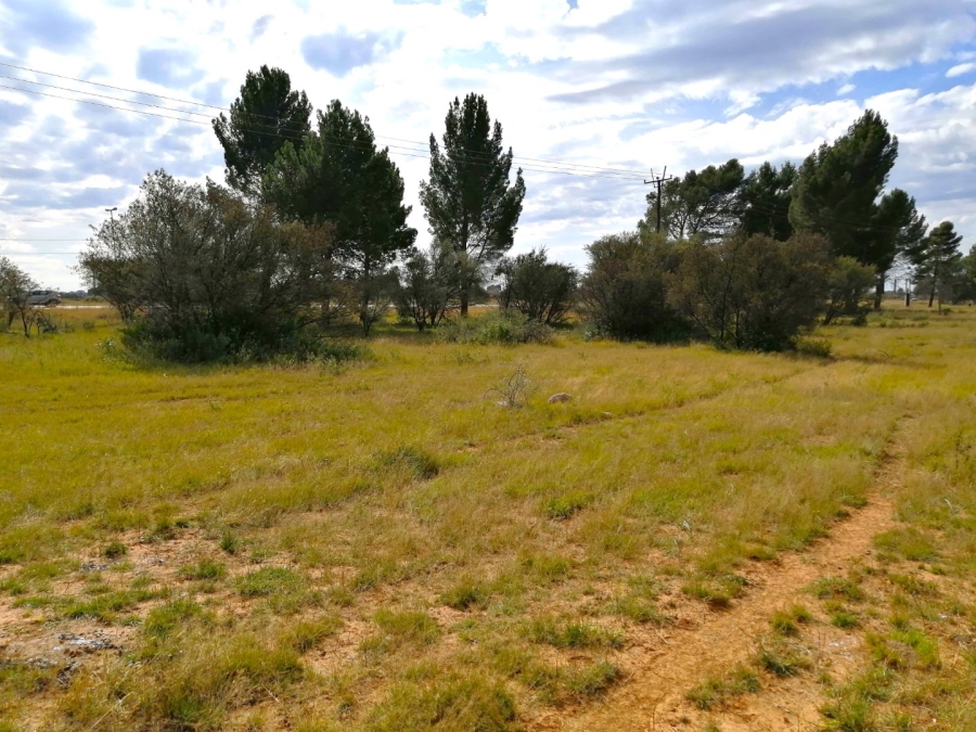  Bedroom Property for Sale in Raceway Free State